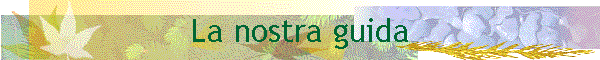 La nostra guida
